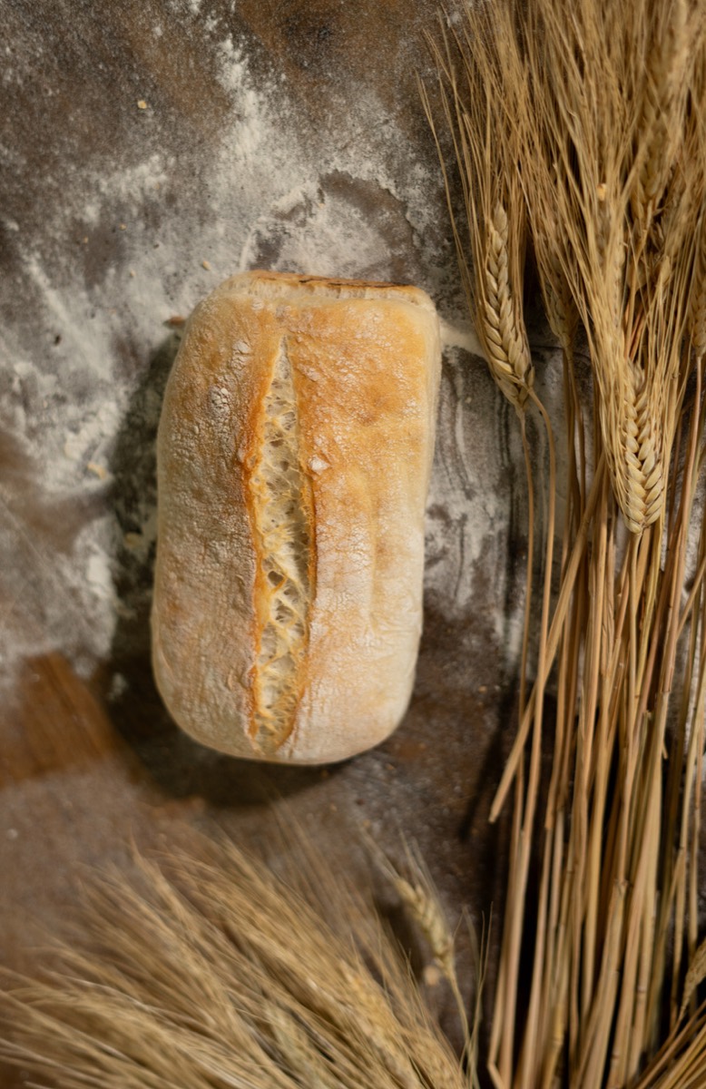Ciabatta Común